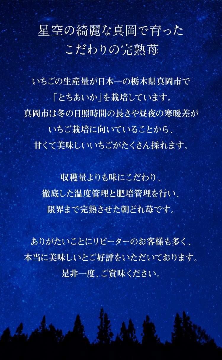 【産地直送】中里苺園さんの『とちあいか』（栃木県産）