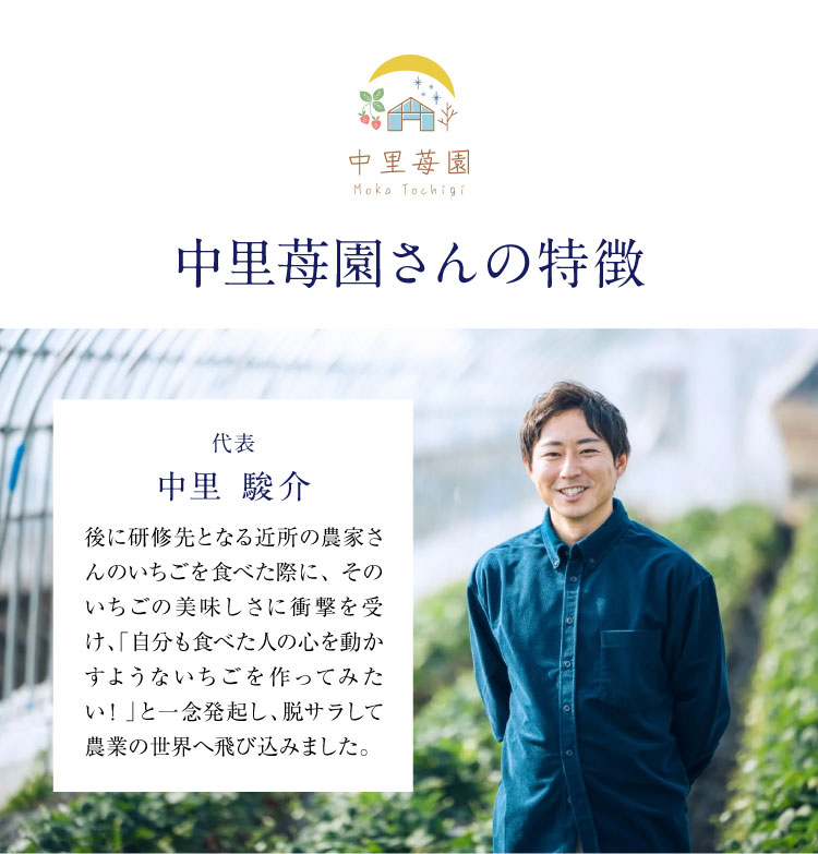 【産地直送】中里苺園さんの『とちあいか』（栃木県産）