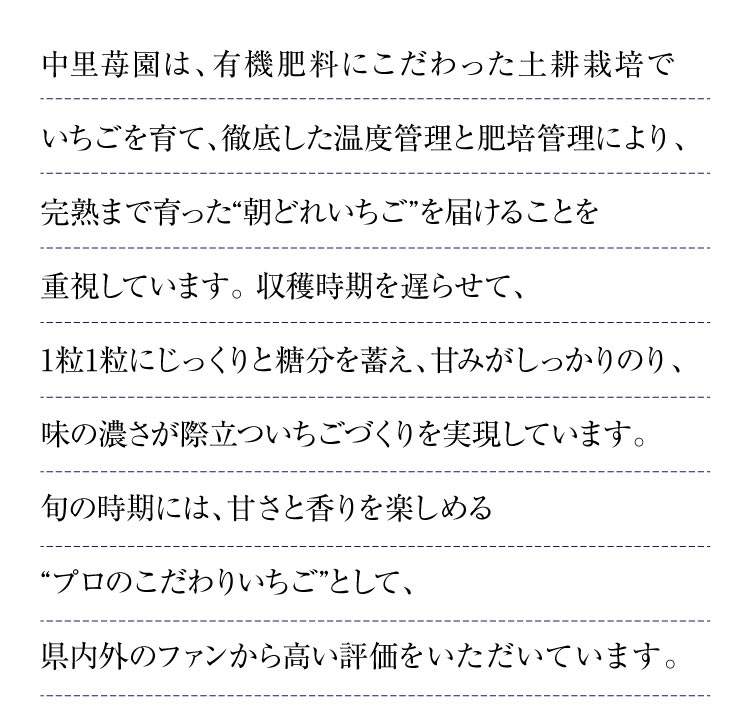 【産地直送】中里苺園さんの『とちあいか』（栃木県産）