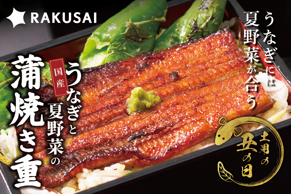 2026年7月6日(月)〜7月20日(月)【7/26は土用の丑の日】国産うなぎと夏野菜の蒲焼き重セット