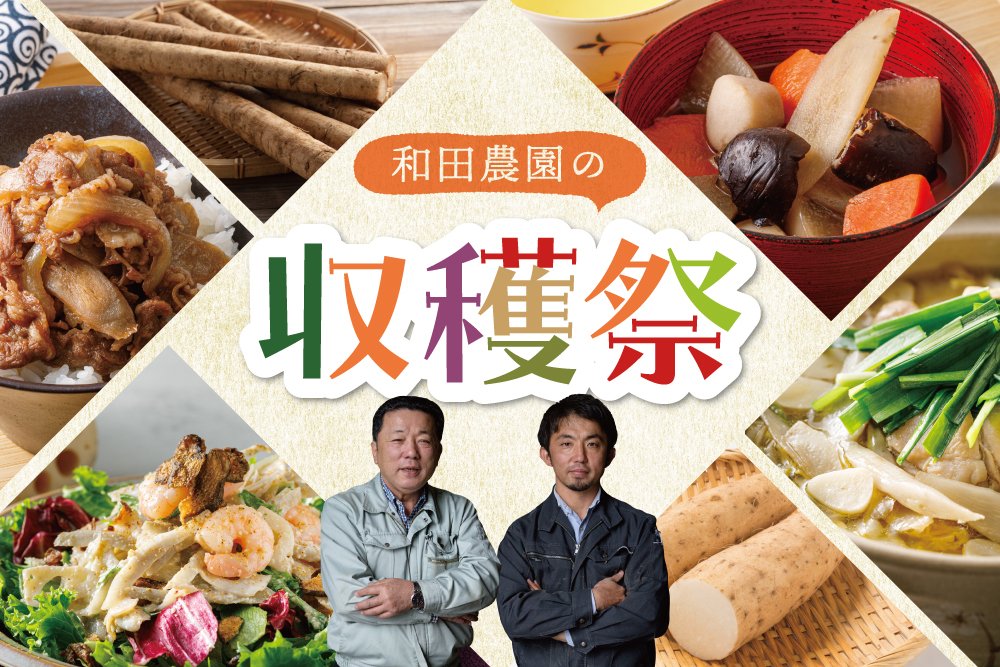 2025年11月17日(月)～12月15日(月)【和田農園の収穫祭】和田さんのごぼうミールキット3品が10％OFF！