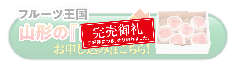 【産地直送】フルーツ王国・山形が誇る『白桃』（山形県産）