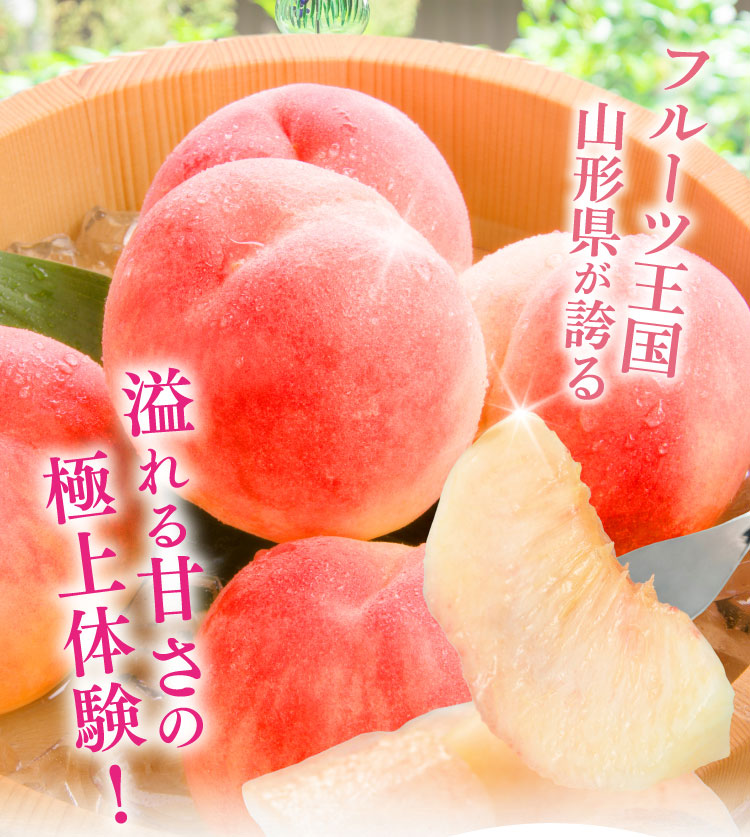 【産地直送】フルーツ王国が育てた 溢れる甘さ！あかつき桃（山形県産）