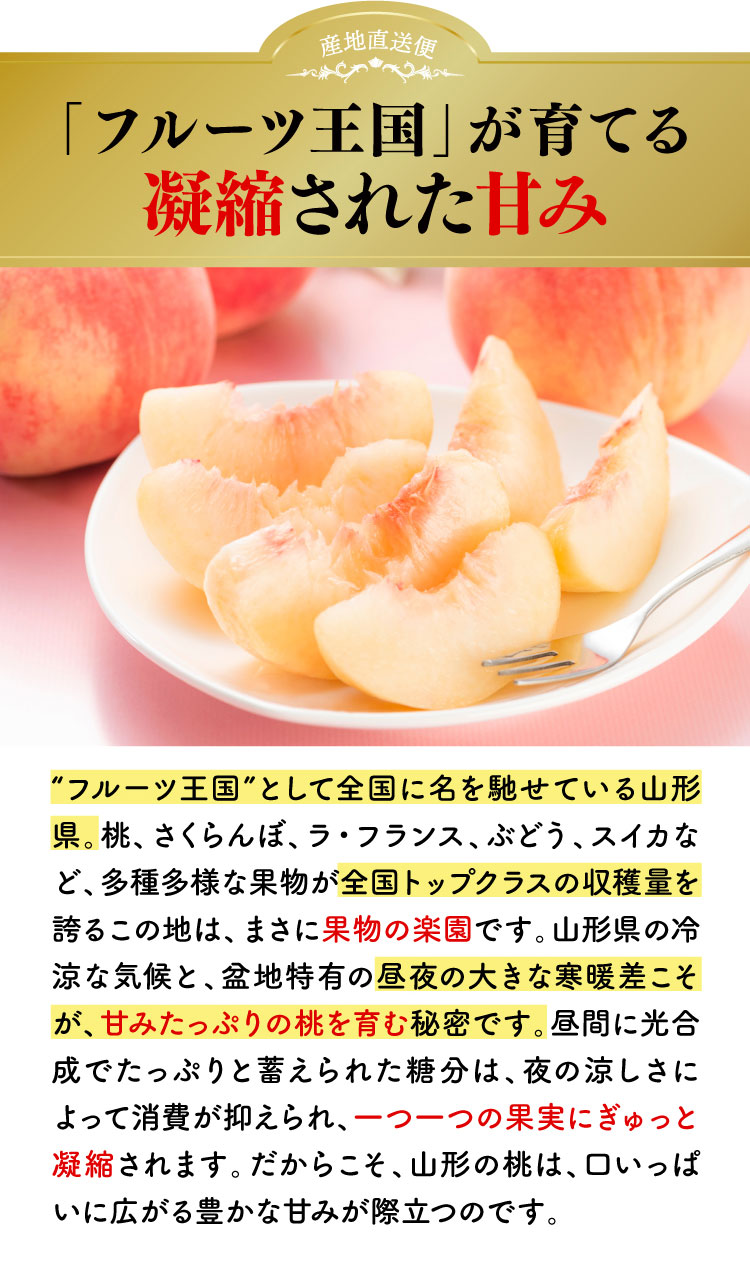 【産地直送】フルーツ王国が育てた 溢れる甘さ！あかつき桃（山形県産）