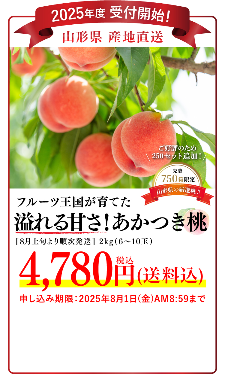 【産地直送】フルーツ王国が育てた 溢れる甘さ！あかつき桃（山形県産）