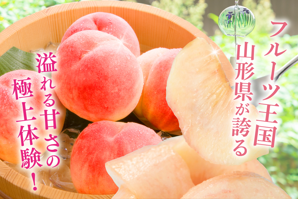 2025年7月21日(月)～8月1日(金)【産地直送】フルーツ王国が育てた 溢れる甘さ！あかつき桃（山形県産）