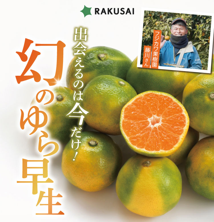 【産地直送】フジカワ果樹園さんのゆら早生みかん（香川県産）