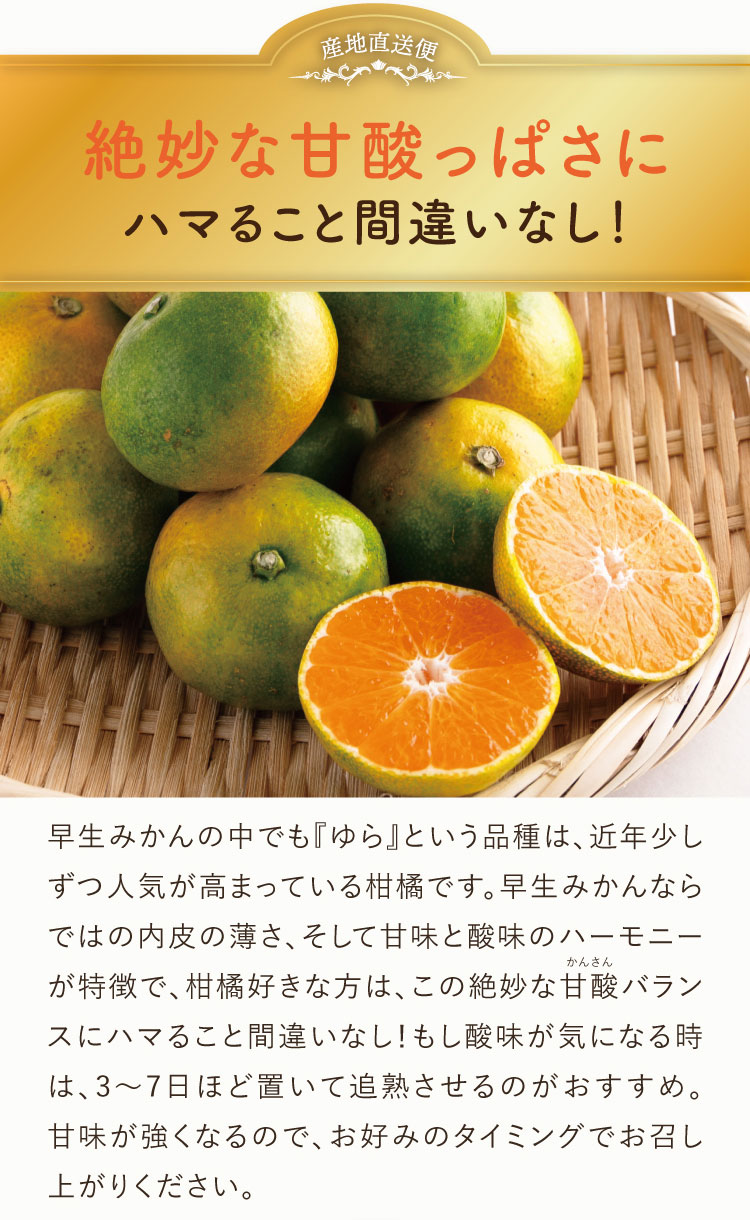【産地直送】フジカワ果樹園さんのゆら早生みかん（香川県産）