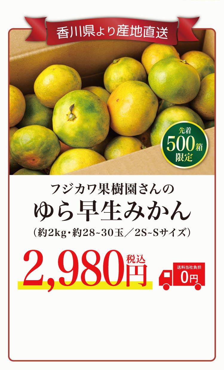 【産地直送】フジカワ果樹園さんのゆら早生みかん（香川県産）