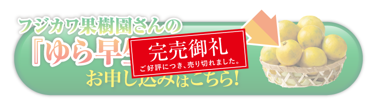 【産地直送】フジカワ果樹園さんの『ゆら早生みかん』（香川県産）