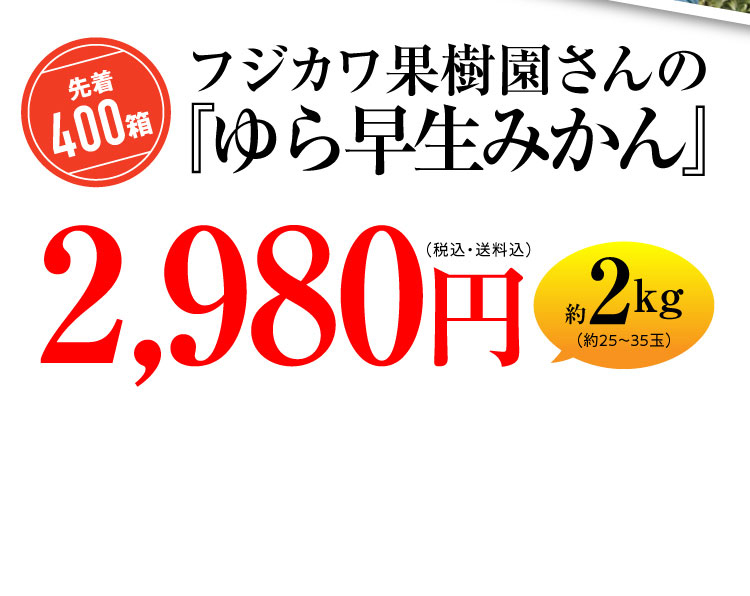 【産地直送】フジカワ果樹園さんの『ゆら早生みかん』（香川県産）