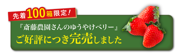 【産地直送】斎藤農園さんの『ゆうやけベリー』（福島県産）