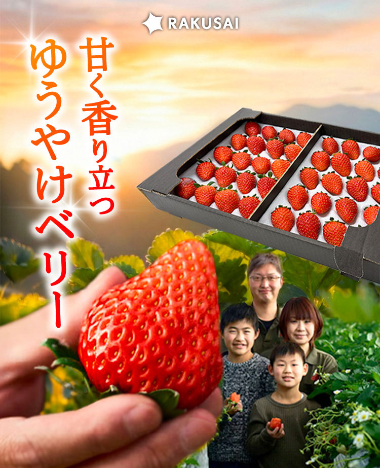 【産地直送】斎藤農園さんの『ゆうやけベリー』（福島県産）