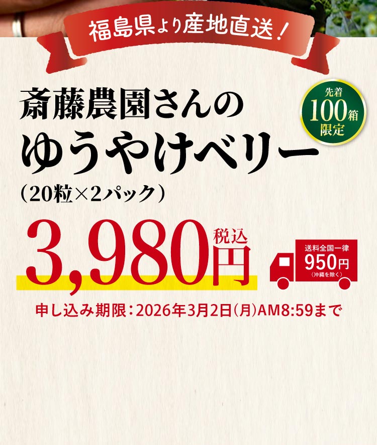 【産地直送】斎藤農園さんの『ゆうやけベリー』（福島県産）