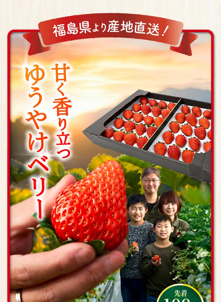 【産地直送】斎藤農園さんの『ゆうやけベリー』（福島県産）