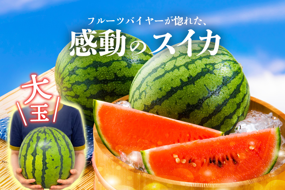 2026年7月20日(月)〜8月3日(月)【産地直送】蛭田さんの大玉スイカ『夏のぜいたく』（神奈川県産）