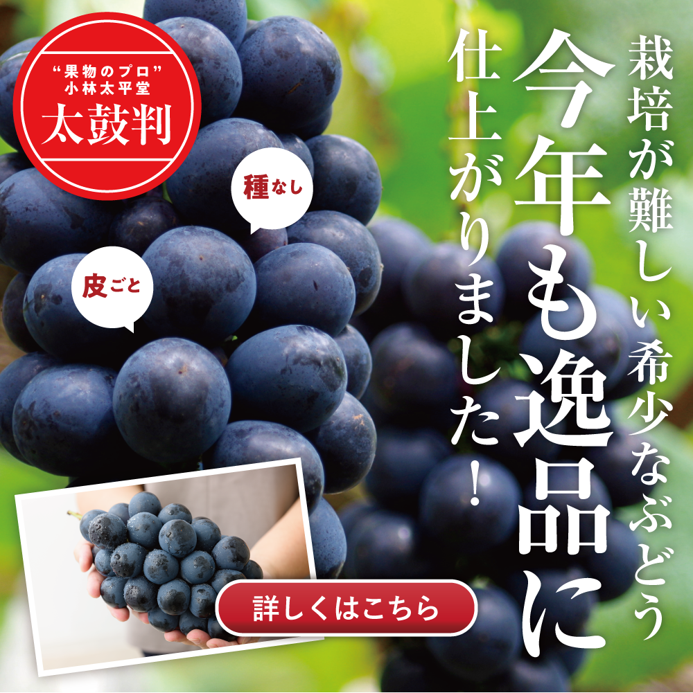 ナガノパープル