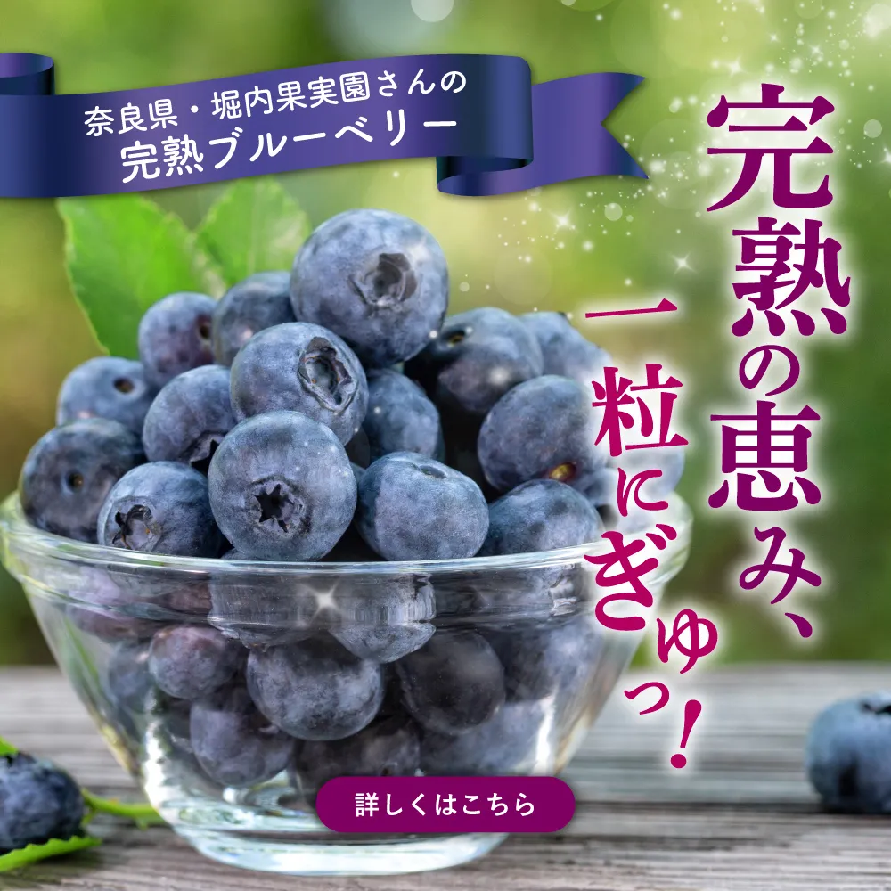 ブルーベリー