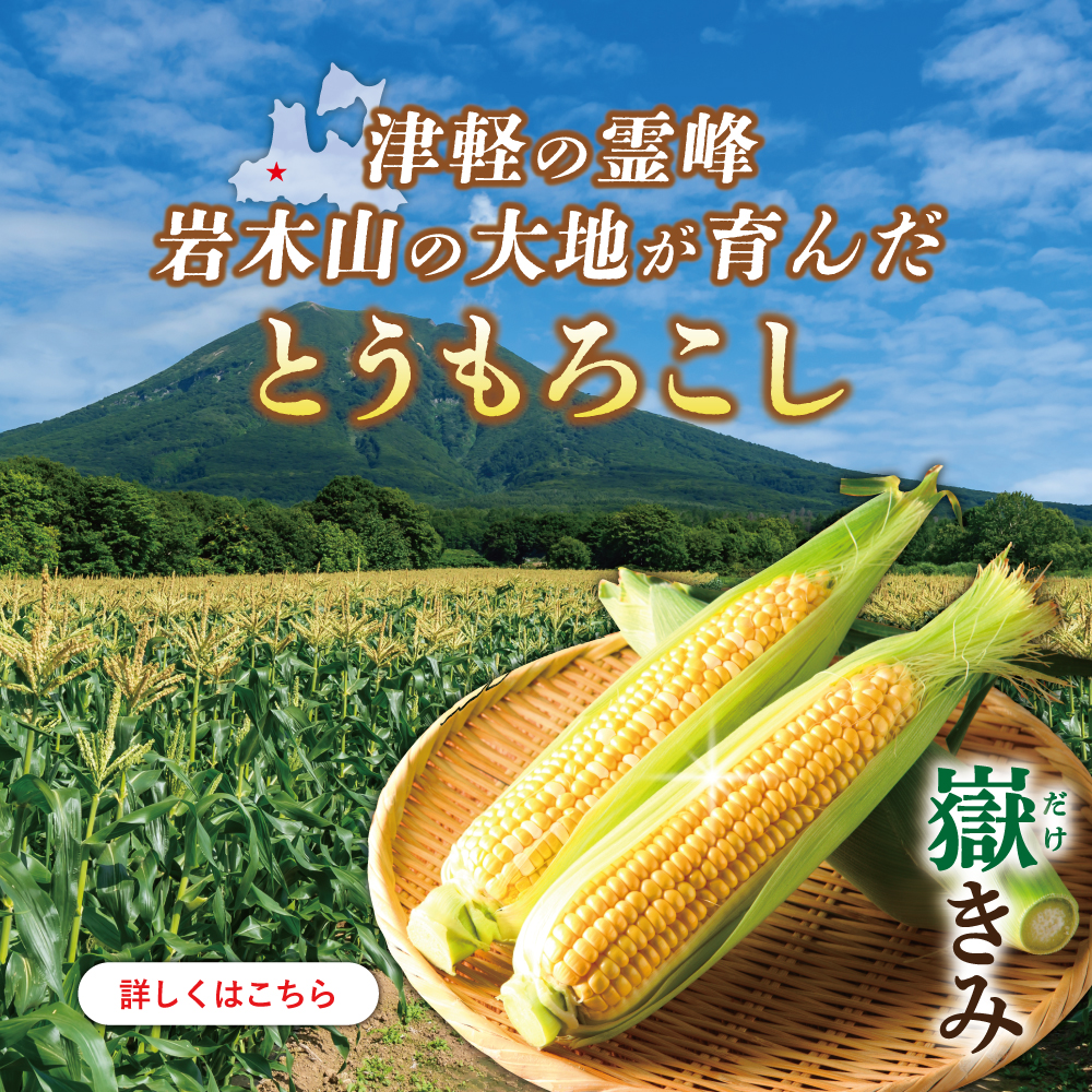 嶽きみ