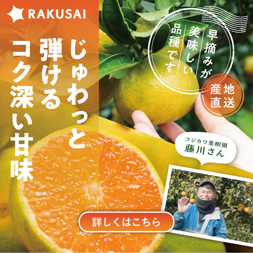ゆら早生みかん