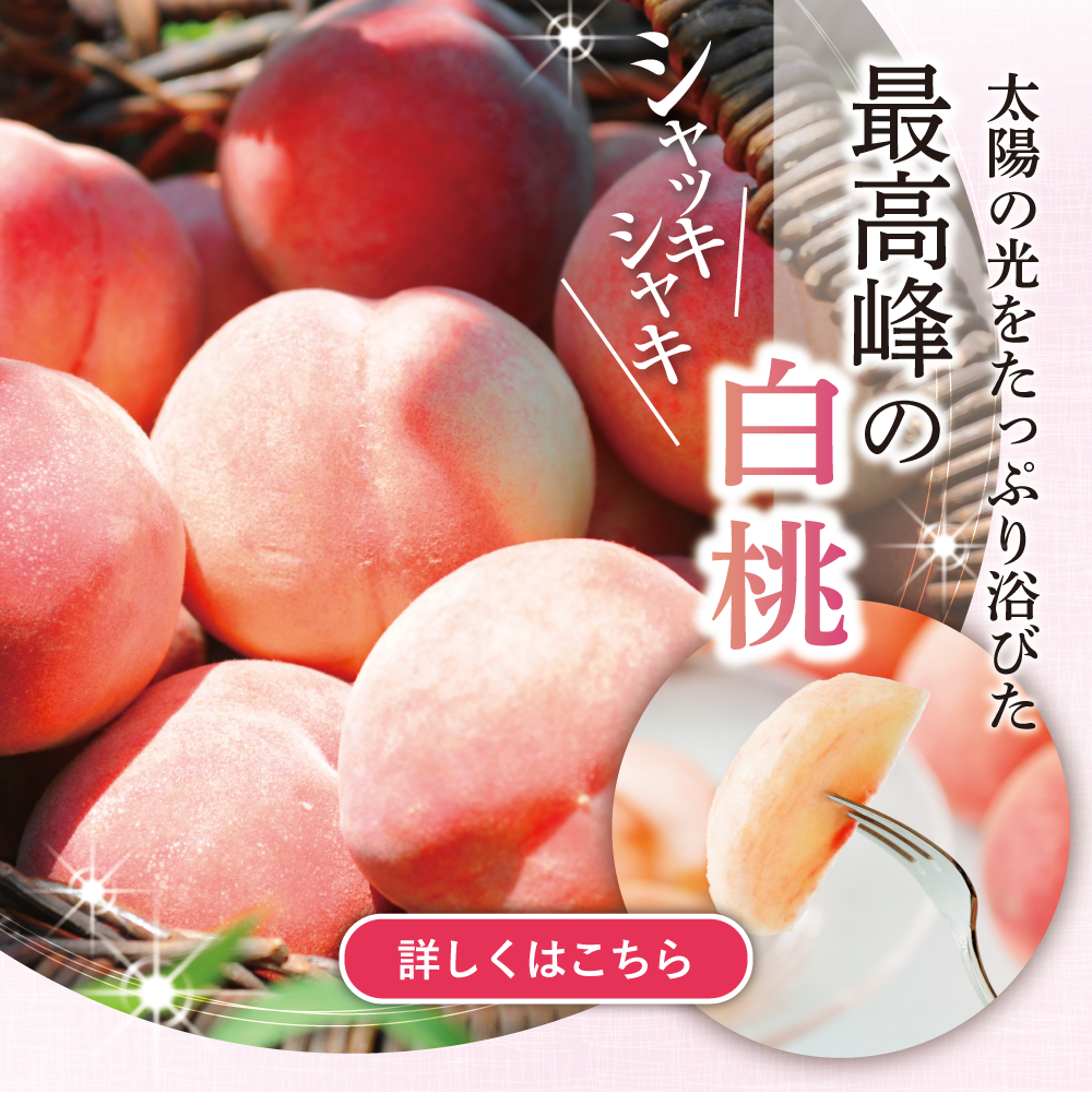 山形白桃