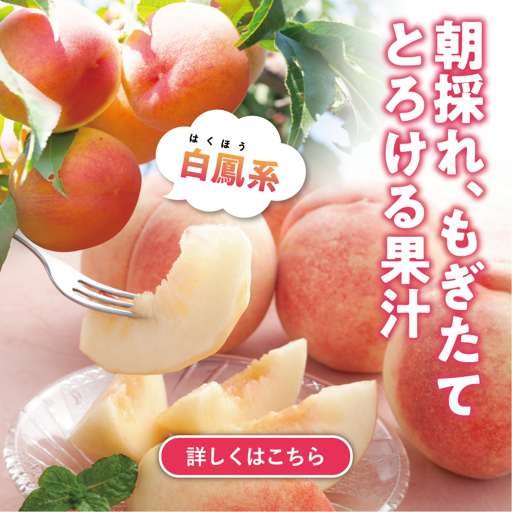 白鳳系桃（単品）