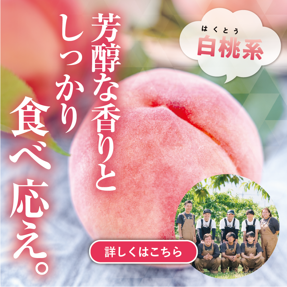 白桃系桃（単品）