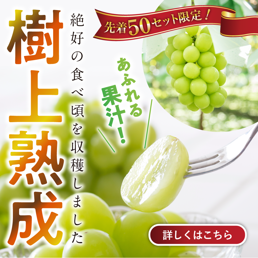 木熟シャインマスカット