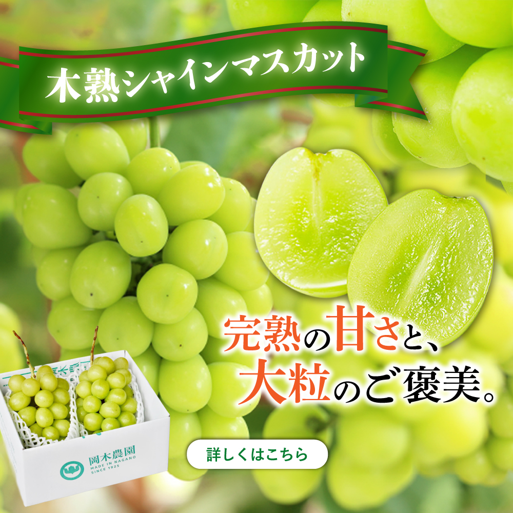 木熟シャインマスカット