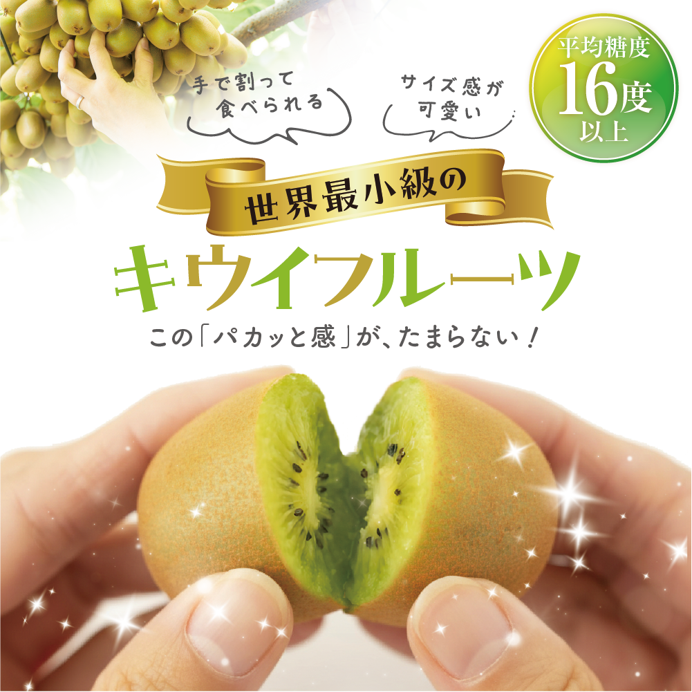 キウイのたまご