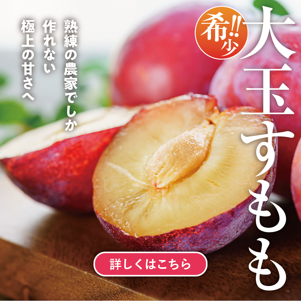 大玉すもも貴陽