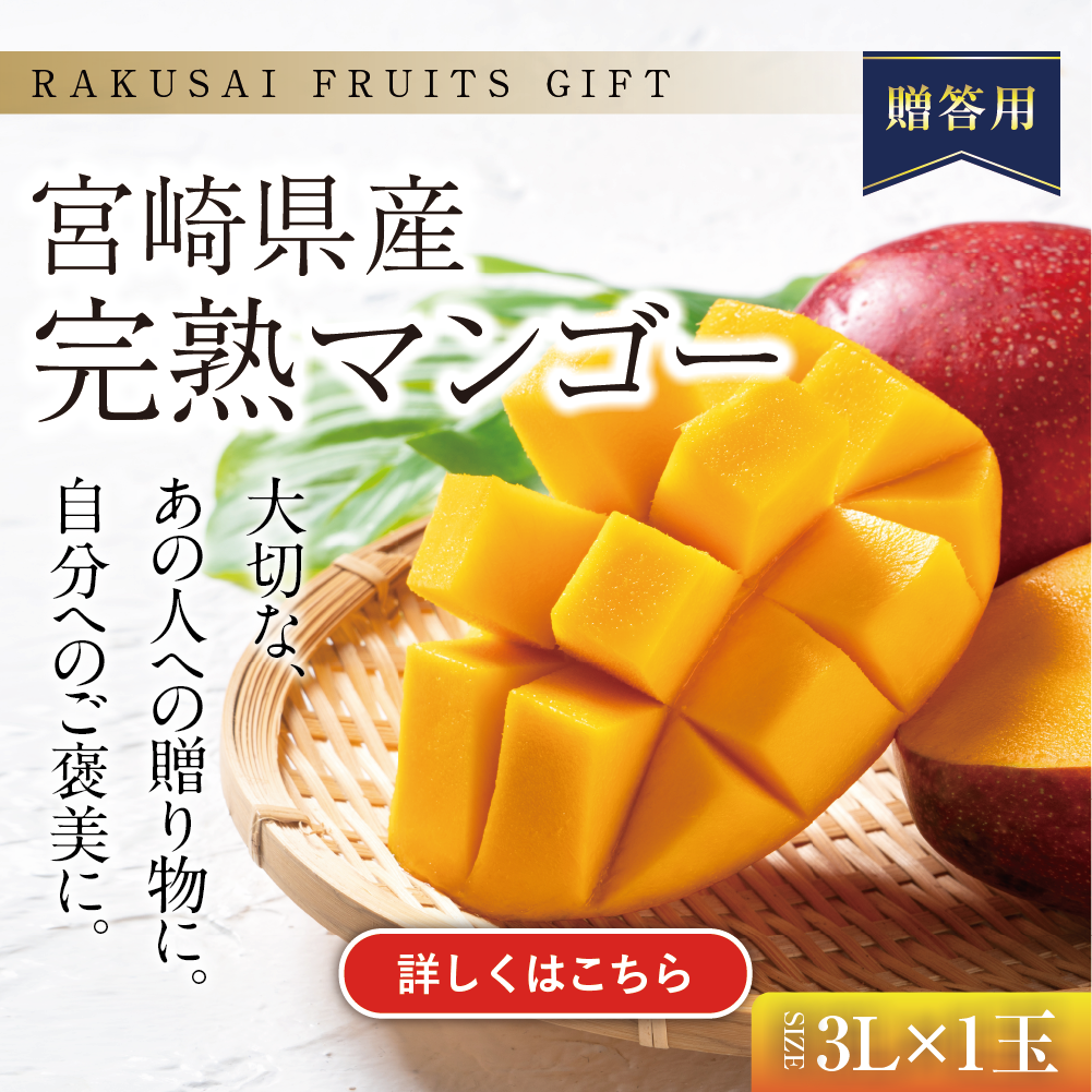 贈答用マンゴー