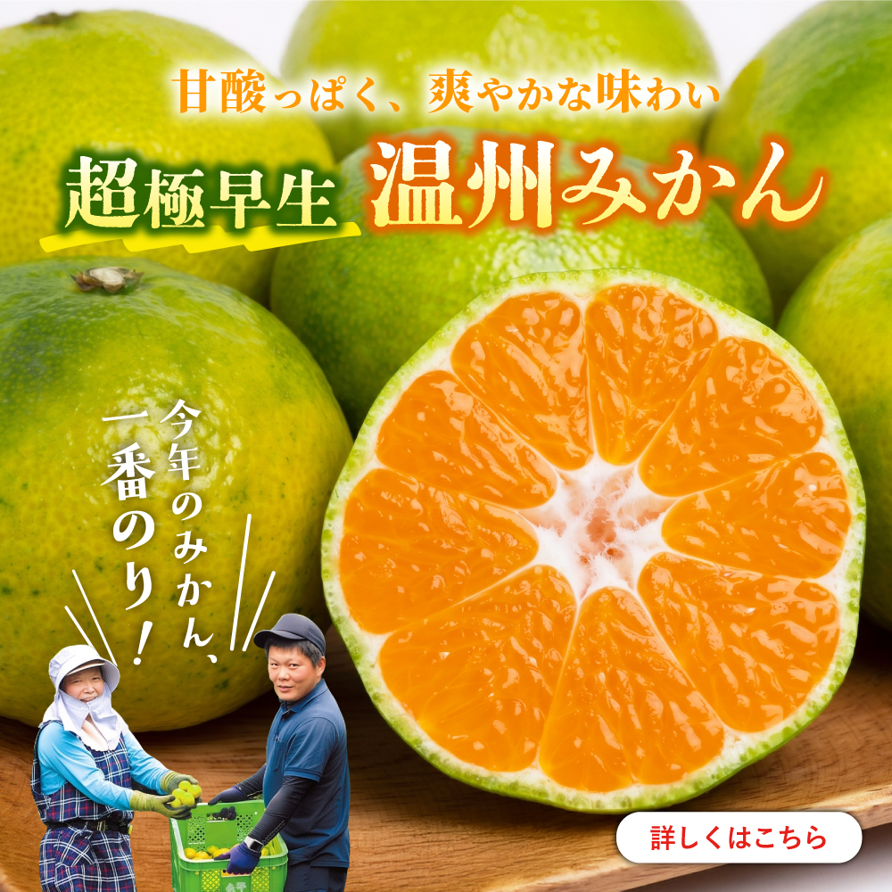 一番のりみかん