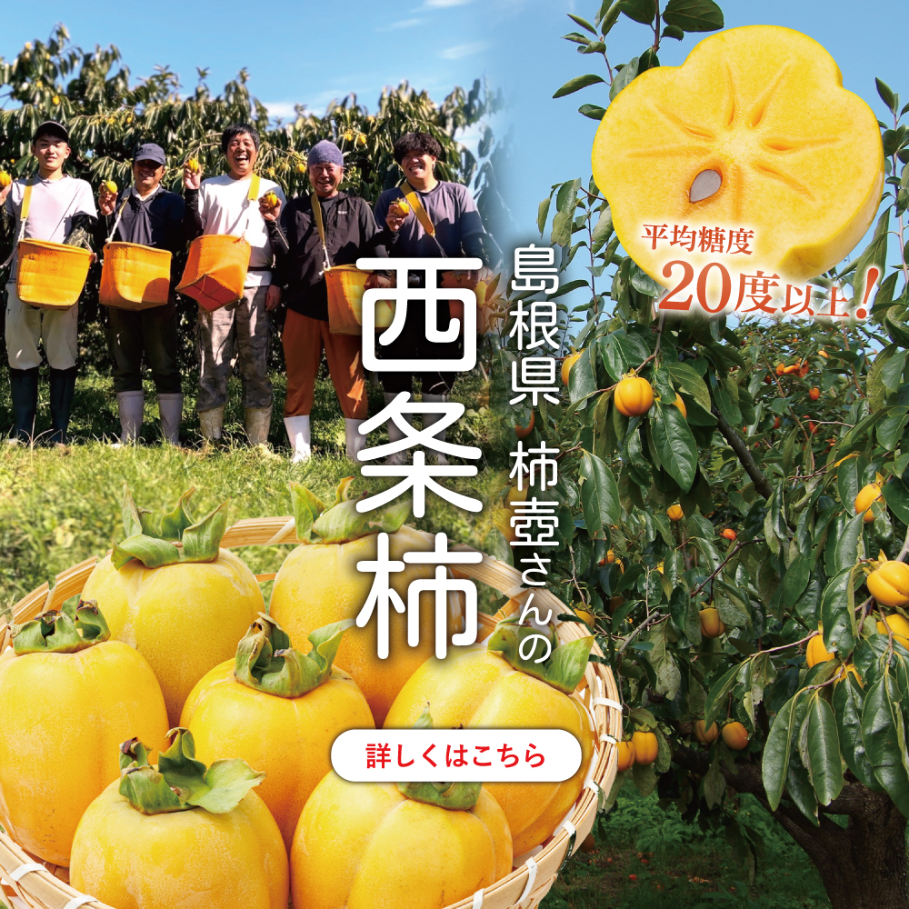 西条柿