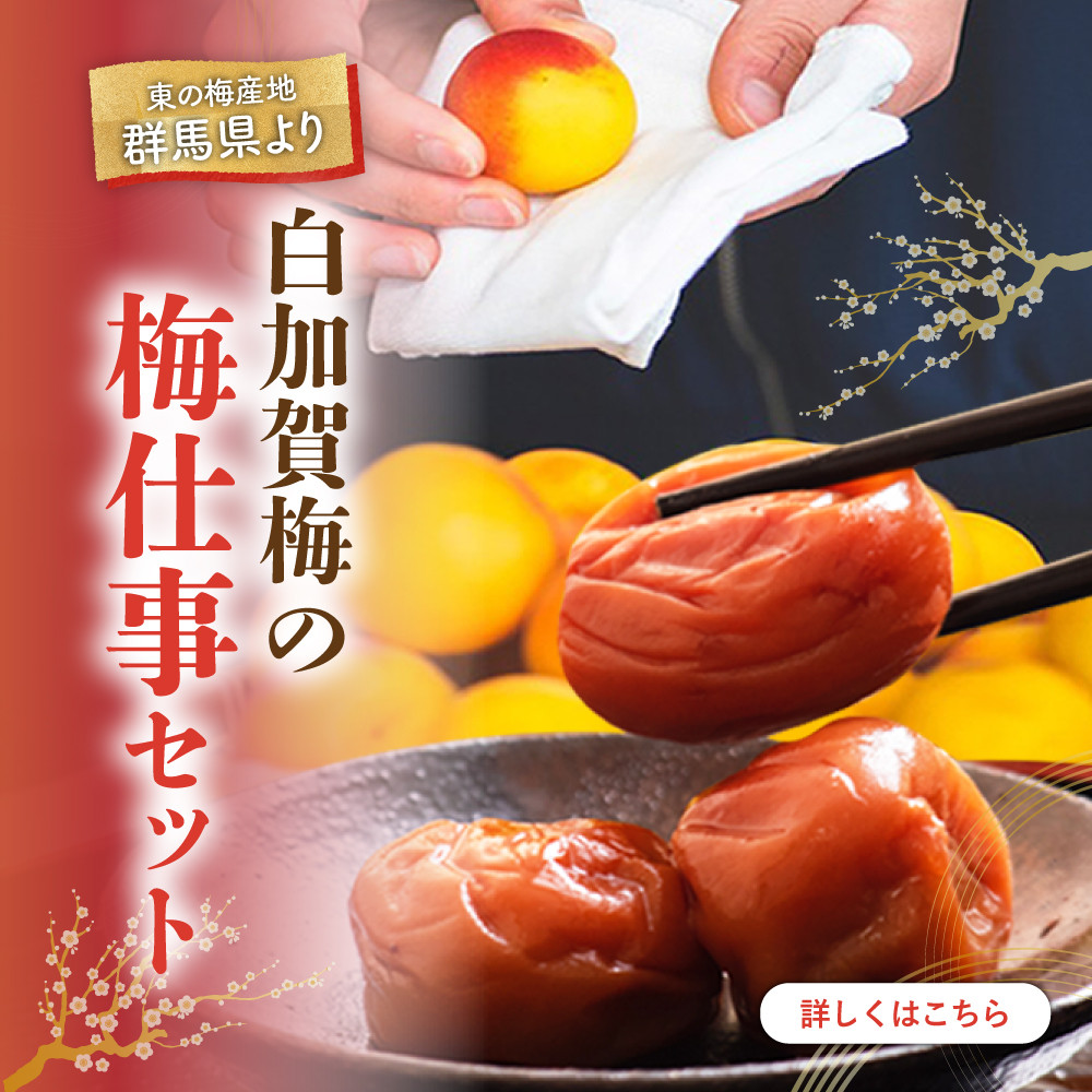 白加賀梅