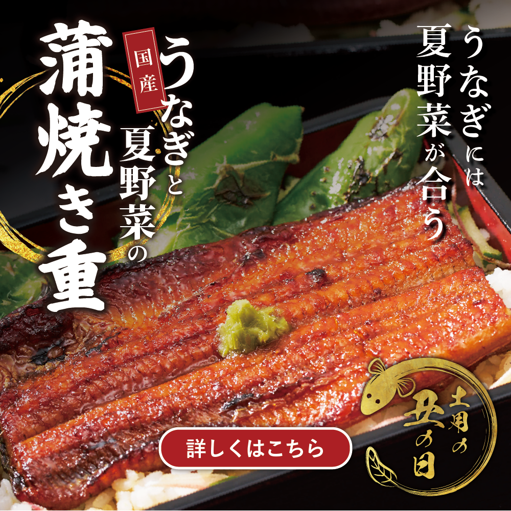 うなぎ蒲焼き重セット