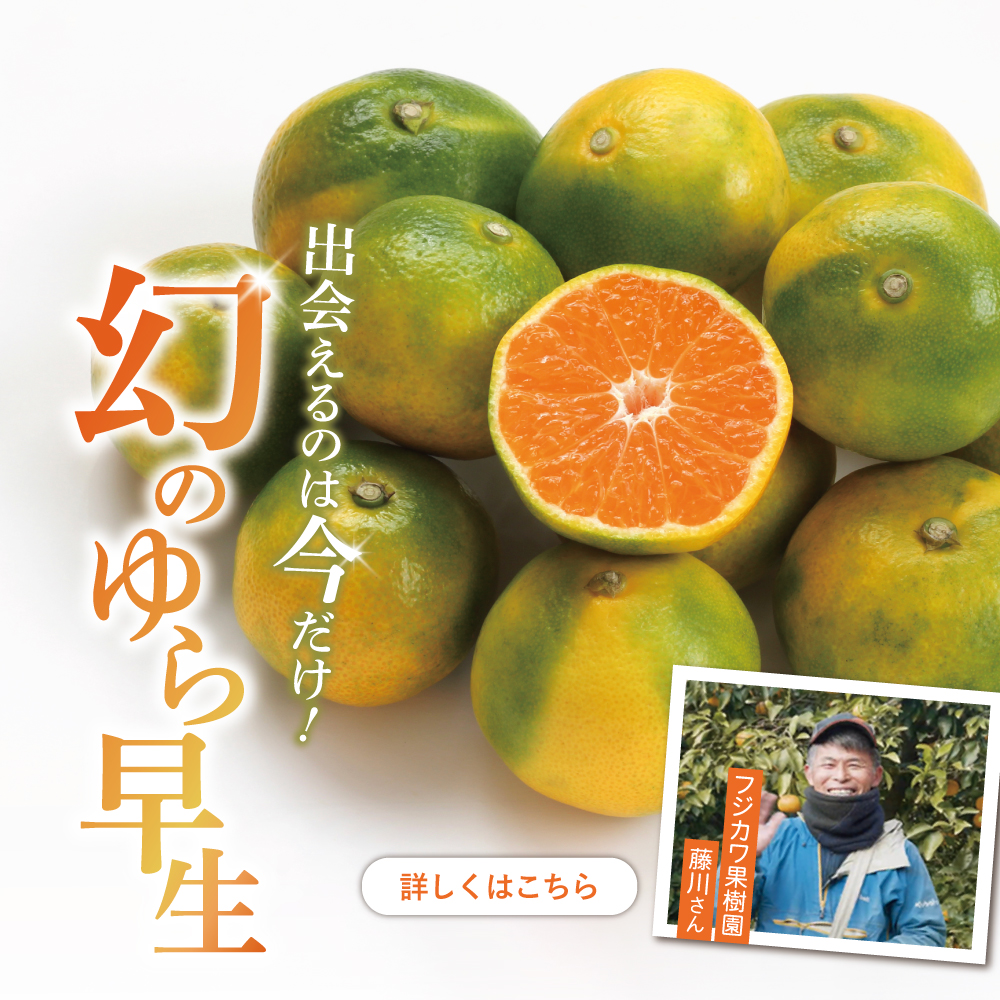ゆら早生みかん