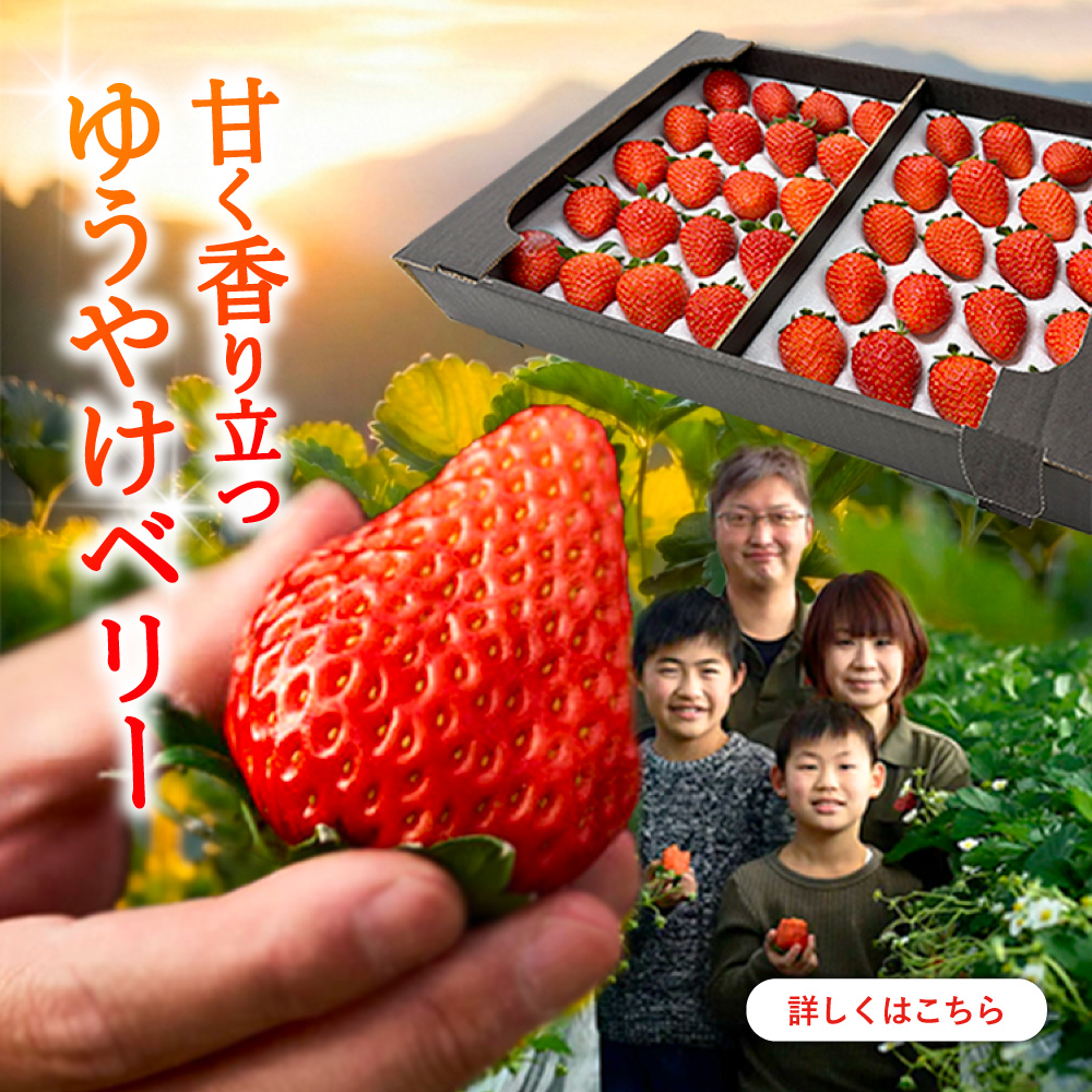 ゆうやけベリー