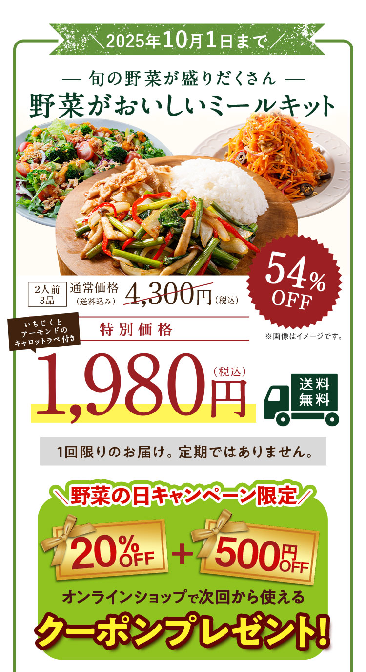 旬の野菜が盛りだくさん 野菜がおいしいミールキット 特別価格1,980円
