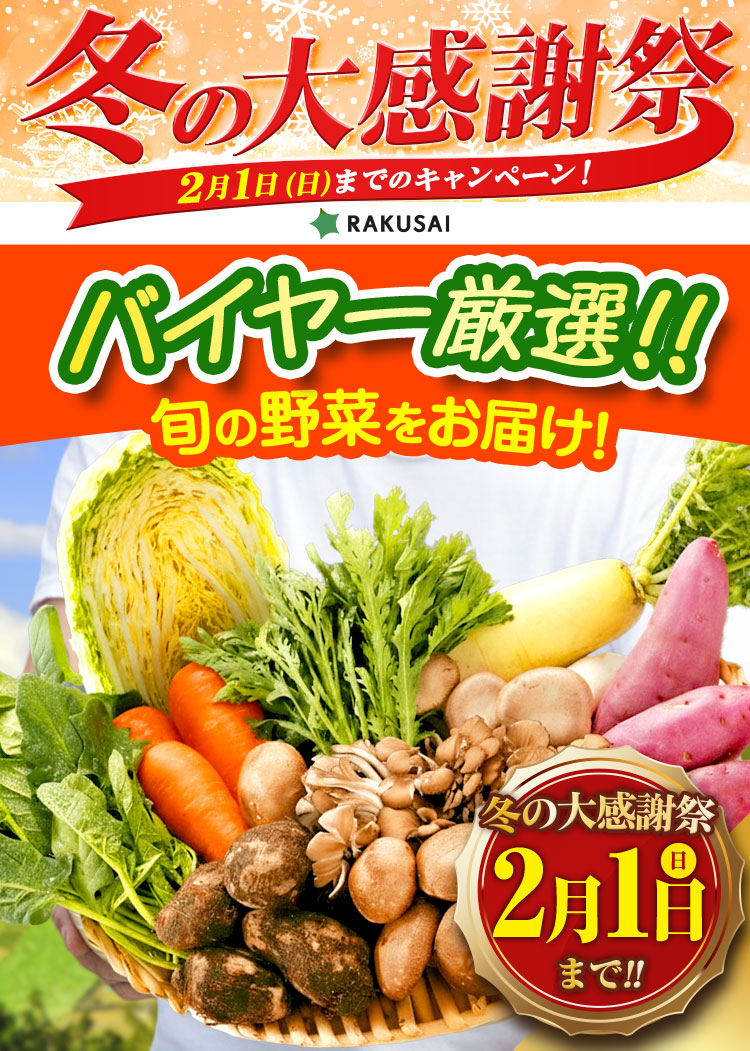 青果ボックスお試しセット｜RAKUSAI