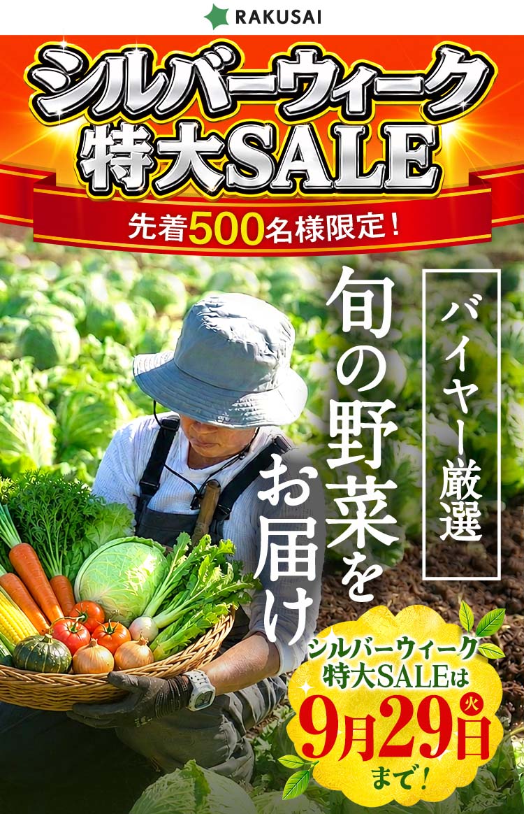 GW明け家計応援セール！ バイヤー厳選!! 旬の野菜をお届け！