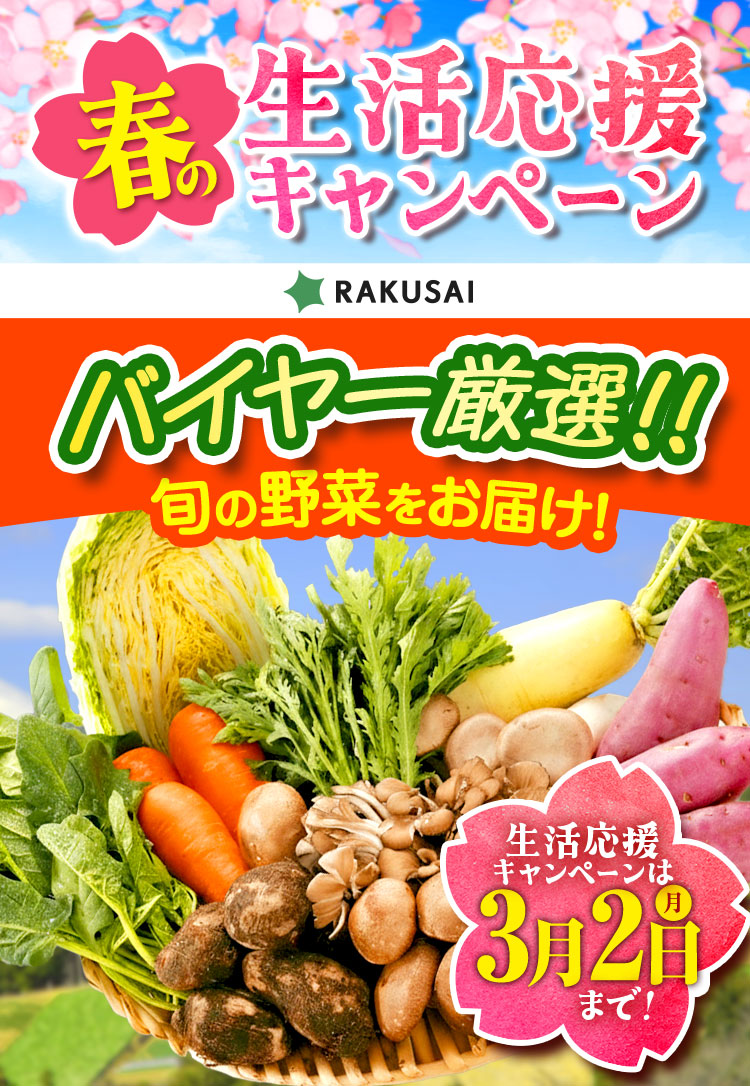 野菜の日 キャンペーン開催中！ バイヤー厳選!! 旬の野菜をお届け！