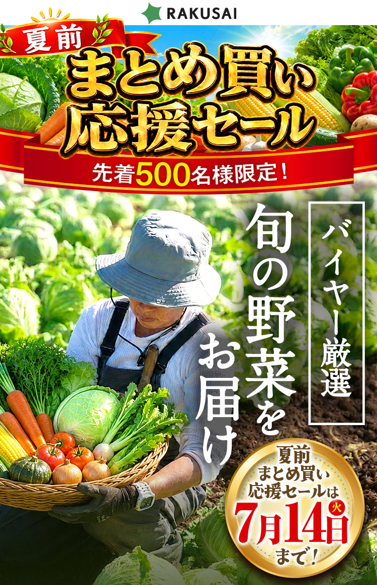 GW明け家計応援セール！ バイヤー厳選!! 旬の野菜をお届け！