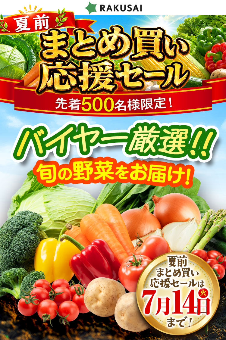 GW明け家計応援セール！ バイヤー厳選!! 旬の野菜をお届け！