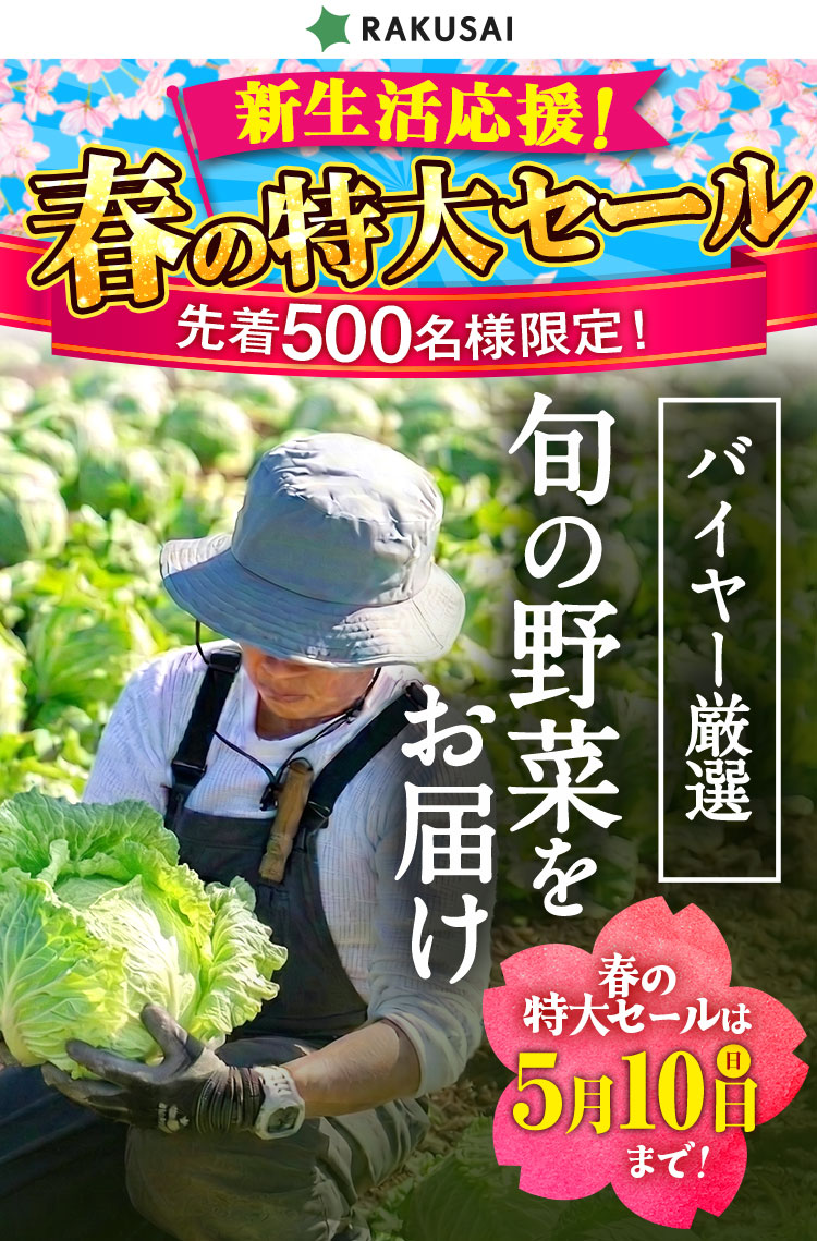 スタートキャンペーン！ バイヤー厳選!! 旬の野菜をお届け！