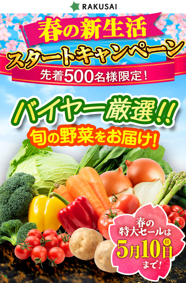 スタートキャンペーン！ バイヤー厳選!! 旬の野菜をお届け！