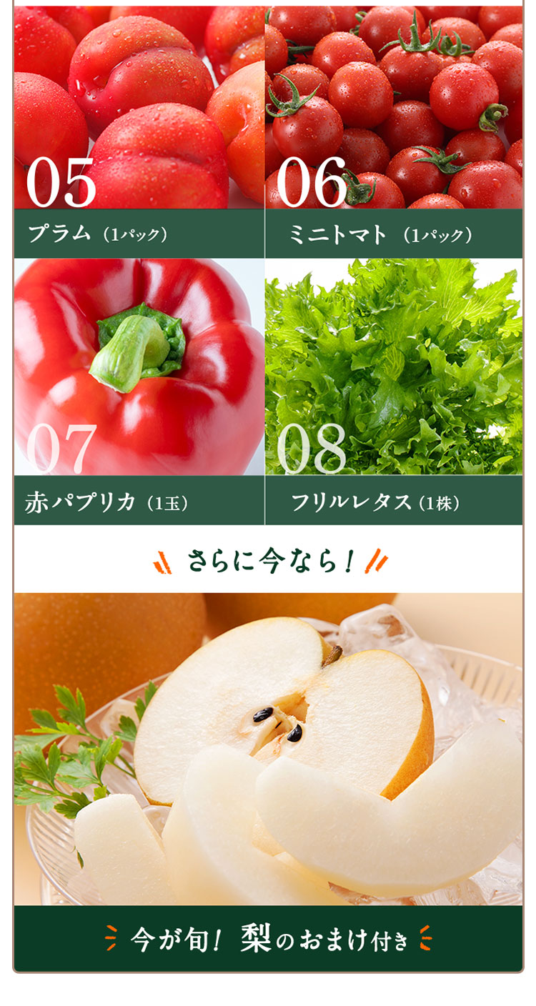 プラム、ミニトマト、赤パプリカ、フリルレタス 今が旬！梨のおまけ付き