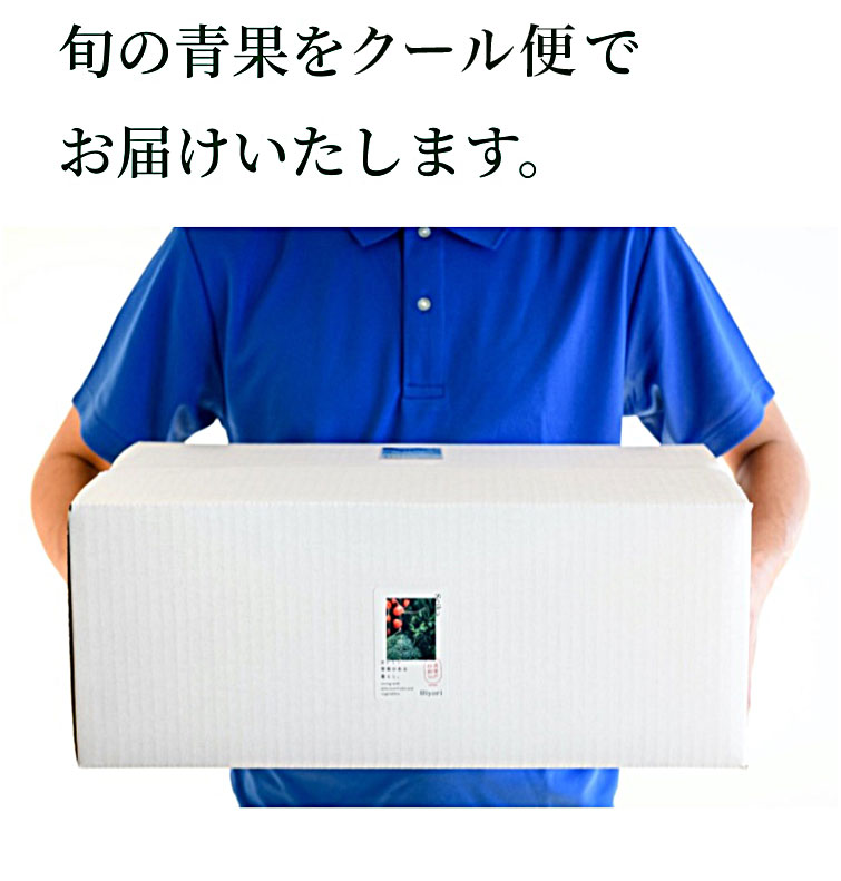旬の青果をクール便でお届けいたします。