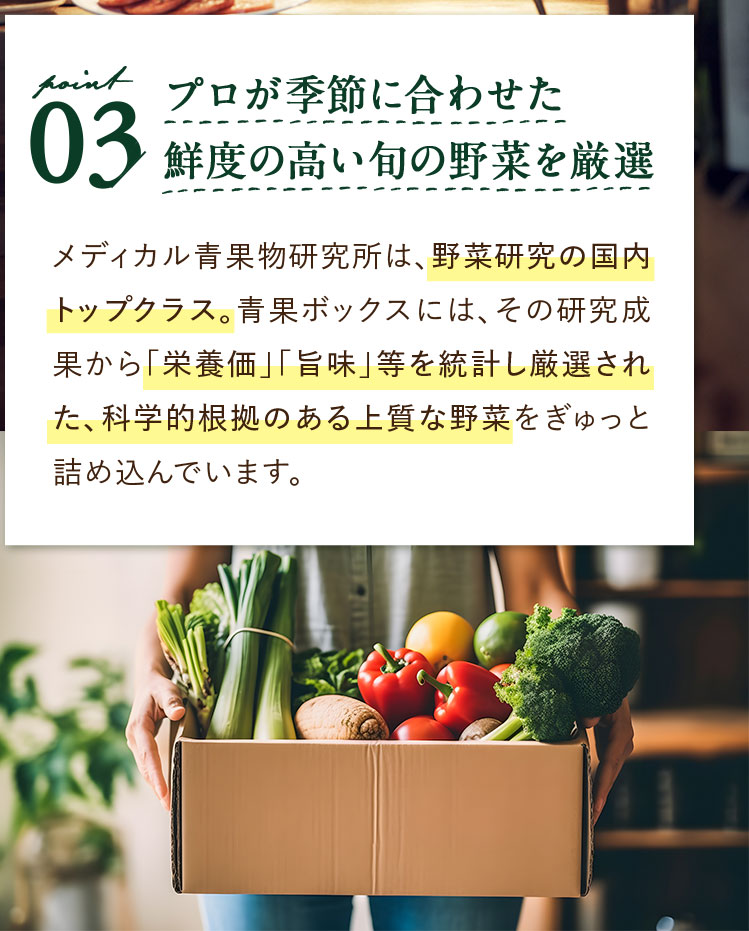 point 03 プロが季節に合わせた鮮度の高い旬の野菜を厳選