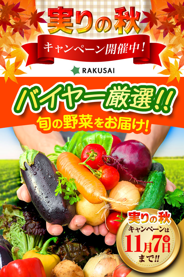 野菜の日 キャンペーン開催中！ バイヤー厳選!! 旬の野菜をお届け！
